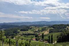 PXL_20260711_125113701
